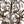 Load image into Gallery viewer, Maison Baguès Rock Crystal &amp; Rose Quartz Chandelier, France, 1940's
