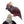 Load image into Gallery viewer, Rubellite Tourmaline Cockatoo Sculpture by Manfred Wild for Emil Becker. Germany
