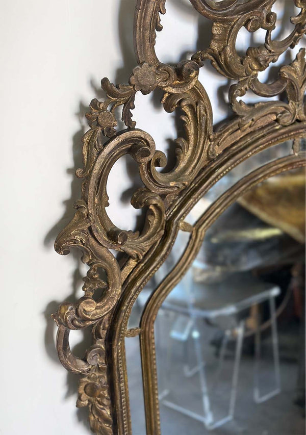 French 19th Century Carved Gilt wood Rococo Mirror
