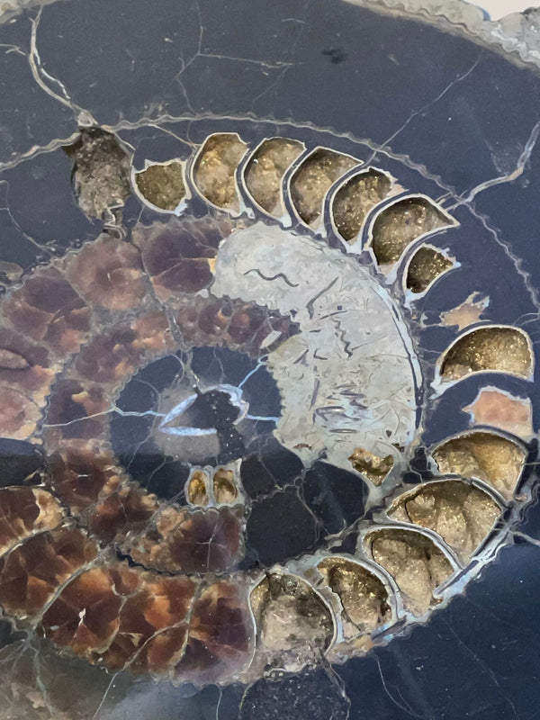 Pair of 20th Century Russian Ammonite Side Tables