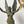 Load image into Gallery viewer, Pair 19th C French Empire Parcel Gilt Bronze Candelabra w/ Winged Maiden Figures
