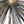Load image into Gallery viewer, Vintage Italian Murano Glass Sputnik Semi-Flush Mount Chandelier, 1980's.
