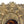 Load image into Gallery viewer, Russian Oklad Icon of the Tikhvin Mother of God. Late 19th Century.
