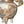 Load image into Gallery viewer, Large Japanese Satsuma Lidded Jar with Fu Dogs, Meiji Period, 19th Century.
