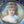 Load image into Gallery viewer, 19th Century Vienna Porcelain Portrait Plate in Giltwood Frame Signed F. Fenner.
