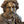 Load image into Gallery viewer, 19th Century French Bronze Figure of Ancient Greek Philosopher Zeno of Elea.
