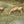 Load image into Gallery viewer, G. A. Hays American Sheep Pasture Landscape Oil Painting, circa 1900.
