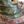 Load image into Gallery viewer, Late 19th Century Rudolfi Bronze Nude on Marble Fountain Form Tray. Germany.
