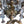 Load image into Gallery viewer, Monumental 19th Century French Solid Bronze Chandelier with Baccarat Glass
