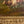 Load image into Gallery viewer, 19th Century Italian Pastoral Cow Painting Signed by Vitolla
