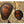 Load image into Gallery viewer, Russian Oklad Icon of the Tikhvin Mother of God. Late 19th Century.
