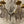 Load image into Gallery viewer, Pair of French Gilt Bronze and Crystal Wall Sconces, Late 19th Century.
