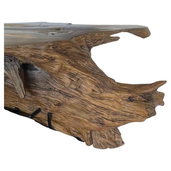 Majestic Cypress Tree Log Console with Sculptural Steel Base. Labeled PMC #35.