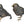 Load image into Gallery viewer, Pair of Buccellati Sterling Silver Sparrow Figures
