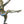 Load image into Gallery viewer, Jean Pierre Morante Bronze Art Deco Dancer Sculpture.
