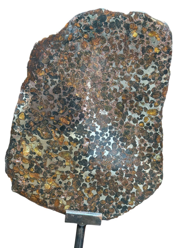 Pallasite Meteorite Slice from the Jericho Strewn Field, Kenya.