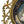 Load image into Gallery viewer, 19th Century Vienna Porcelain Portrait Plate in Giltwood Frame Signed F. Fenner.
