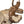 Load image into Gallery viewer, Didymoceras Stevensoni Heteromorph Ammonite Fossil on Matrix, South Dakota.
