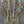Load image into Gallery viewer, Mid-20th Century French Maison Baguès Crystal and Gilt Iron Chandelier
