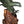 Load image into Gallery viewer, Monumental 20th century Chinese Spinach Jade Carved Eagle on Naturalistic Base
