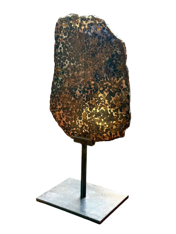 Pallasite Meteorite Slice from the Jericho Strewn Field, Kenya.