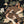 Load image into Gallery viewer, Oversized 19th C. Chinese Handpainted Hundred Birds Paying Homage to the Phoenix
