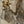 Load image into Gallery viewer, Pair of French Gilt Bronze and Crystal Wall Sconces, Late 19th Century.

