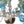 Load image into Gallery viewer, Italian Murano Glass Multi-Color Floral Chandelier
