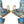 Load image into Gallery viewer, Pair of Sèvres Style Celestial Blue Porcelain Urns. Early 20th Century, France.
