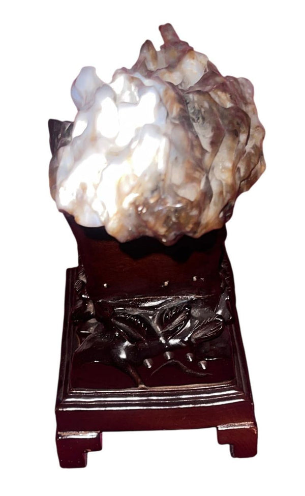100 Million Year Old Burmese Petrified Wood Sculpture on Carved Stand