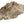 Load image into Gallery viewer, Fossil Crab (Galene granulifera) from Taiwan, Pliocene Period
