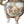 Load image into Gallery viewer, Large Japanese Satsuma Lidded Jar with Fu Dogs, Meiji Period, 19th Century.
