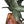 Load image into Gallery viewer, Monumental 20th century Chinese Spinach Jade Carved Eagle on Naturalistic Base
