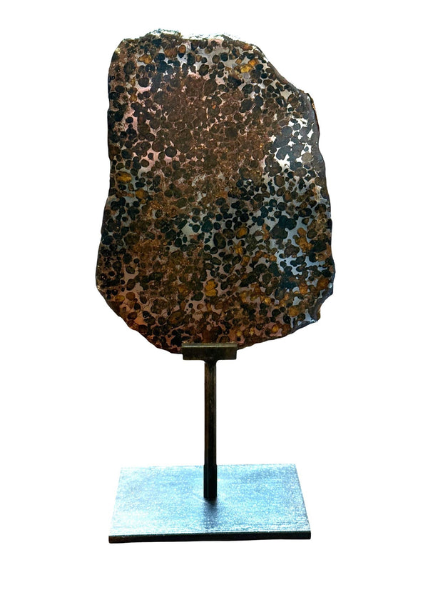 Pallasite Meteorite Slice from the Jericho Strewn Field, Kenya.