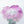 Load image into Gallery viewer, Rose Passion Vase by Daum. France, 1990&#39;s.
