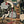 Load image into Gallery viewer, Oversized 19th C. Chinese Handpainted Hundred Birds Paying Homage to the Phoenix
