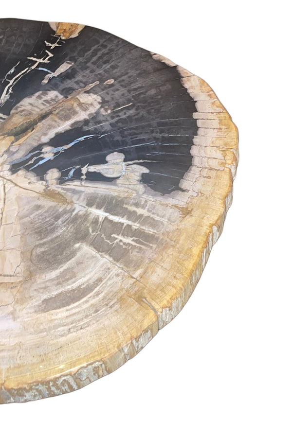 Pair Modern Petrified Wood Side Tables w/ Sculptural Metal Bases. Late 20th C.