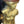 Load image into Gallery viewer, Pair of Early 19th Century Italian Gilt Bronze Mounted Ebonized Console Tables
