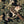 Load image into Gallery viewer, Oversized 19th C. Chinese Handpainted Hundred Birds Paying Homage to the Phoenix
