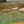 Load image into Gallery viewer, G. A. Hays American Sheep Pasture Landscape Oil Painting, circa 1900.
