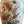 Load image into Gallery viewer, Pair of Late 19th Century Chinese Canton Rose Medallion Lamps
