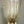 Load image into Gallery viewer, Set of Six Gold Bollicine Murano Sconces by Barovier e Toso. Italy, 1950&#39;s.
