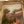Load image into Gallery viewer, 19th Century Italian Pastoral Cow Painting Signed by Vitolla
