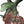 Load image into Gallery viewer, Monumental 20th century Chinese Spinach Jade Carved Eagle on Naturalistic Base
