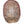 Load image into Gallery viewer, Pleistocene Trachemys Platymarginata Turtle Shell Fossil
