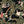 Load image into Gallery viewer, Oversized 19th C. Chinese Handpainted Hundred Birds Paying Homage to the Phoenix
