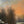 Load image into Gallery viewer, Nils Hans Christiansen Winter Landscape Painting. Denmark, Early 20th Century.
