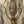 Load image into Gallery viewer, Pair of French Gilt Bronze and Crystal Wall Sconces, Late 19th Century.
