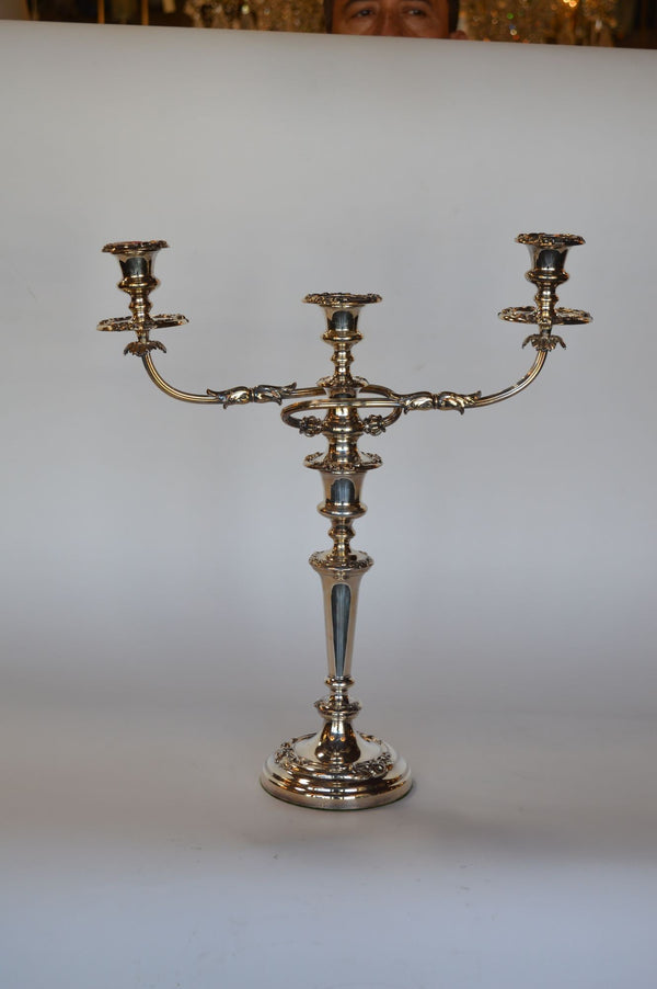 Pair of Twisted Silver Candelabras