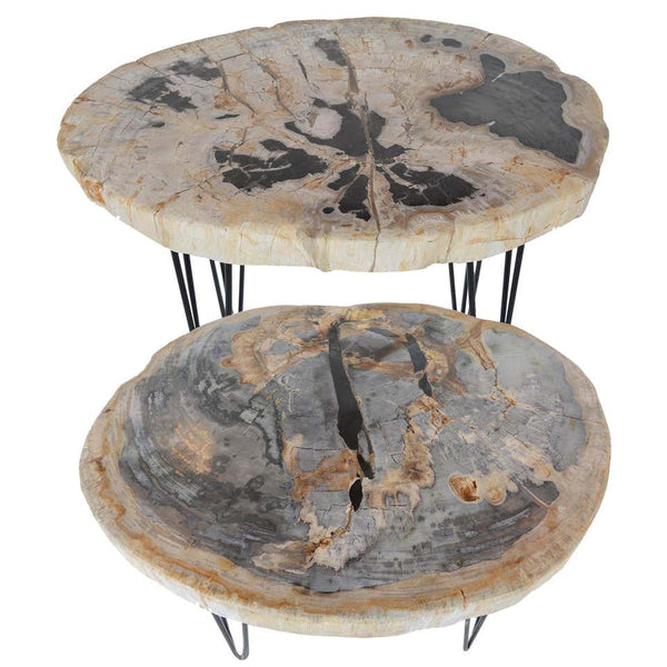 Pair of Petrified Wood Side Tables with Iron Feet, Late 20th Century